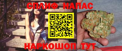молекула духа Волжский